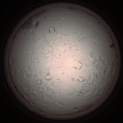 capture_202112061022_1585.Png