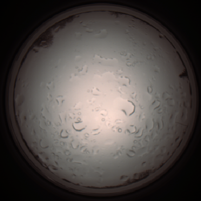 capture_202112061051_1614.Png