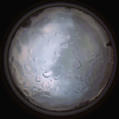 capture_202112061510_1873.Png