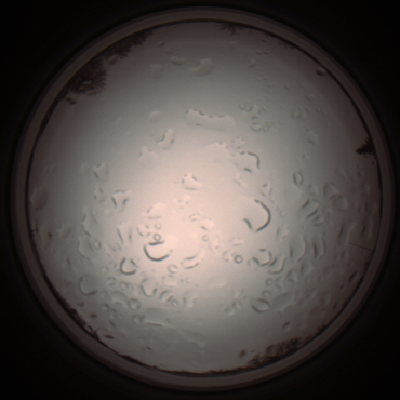capture_202112061152_1675.Png