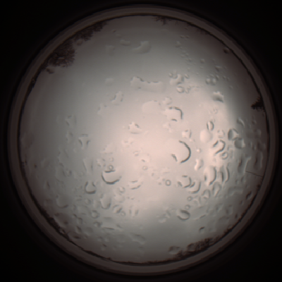 capture_202112061232_1715.Png