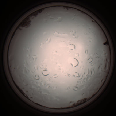 capture_202112061241_1724.Png
