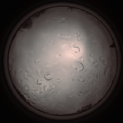 capture_202112061425_1828.Png