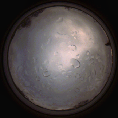 capture_202112061502_1865.Png