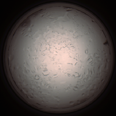 capture_202112061009_1572.Png