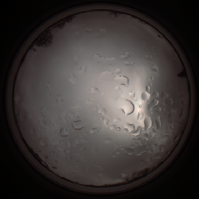 capture_202112061322_1765.Png