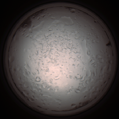 capture_202112060946_1549.Png