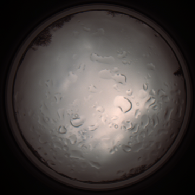 capture_202112061304_1747.Png