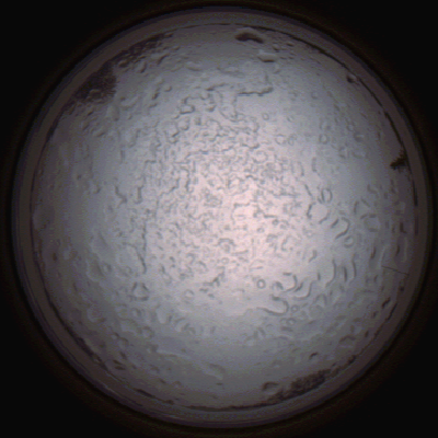 capture_202112060813_1456.Png