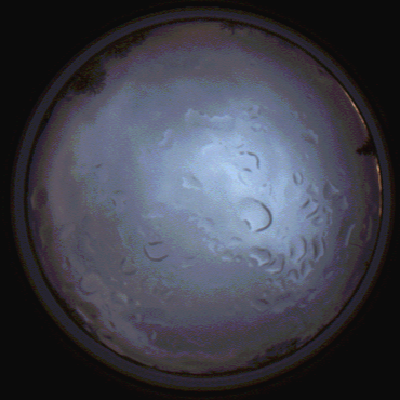 capture_202112061522_1885.Png