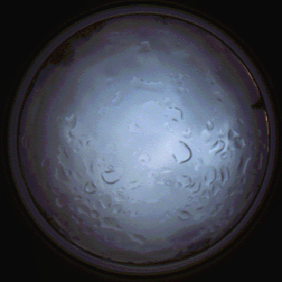 capture_202112061520_1883.Png
