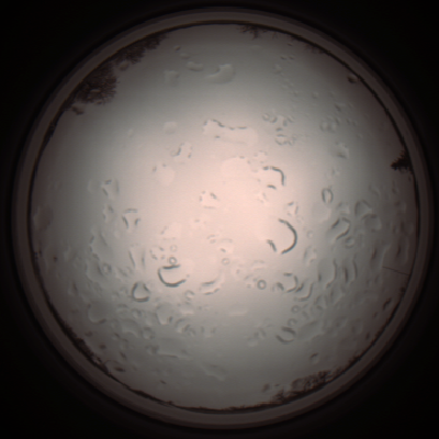 capture_202112061223_1706.Png