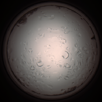 capture_202112061121_1644.Png