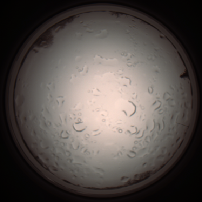 capture_202112061104_1627.Png