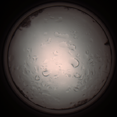 capture_202112061243_1726.Png