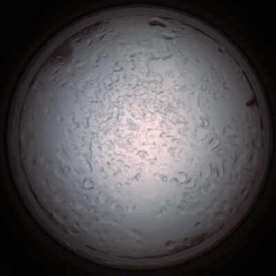 capture_202112060909_1512.Png
