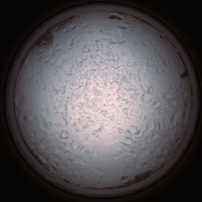 capture_202112060830_1473.Png