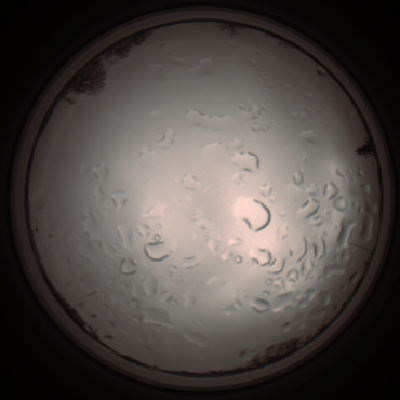 capture_202112061248_1731.Png