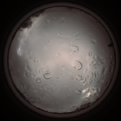 capture_202112061357_1800.Png