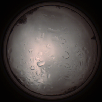 capture_202112061428_1831.Png