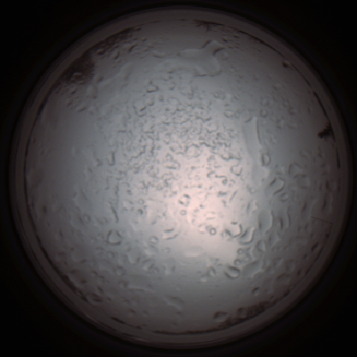 capture_202112060938_1541.Png
