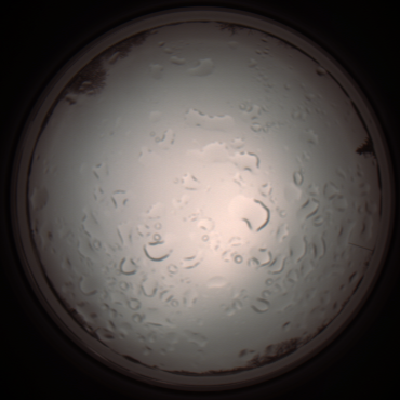 capture_202112061116_1639.Png