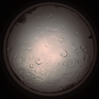 capture_202112061416_1819.Png