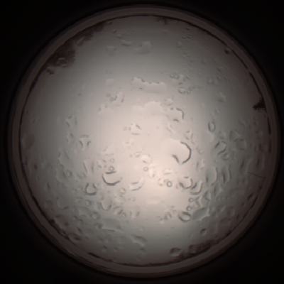 capture_202112061100_1623.Png