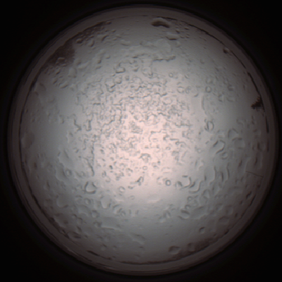capture_202112060915_1518.Png