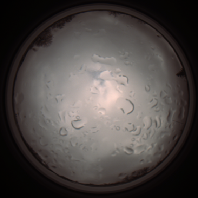 capture_202112061315_1758.Png