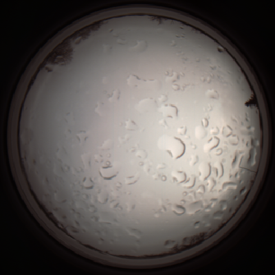 capture_202112061130_1653.Png
