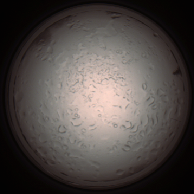 capture_202112061005_1568.Png