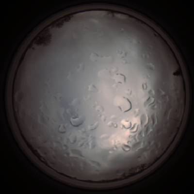 capture_202112061347_1790.Png