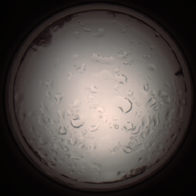 capture_202112061117_1640.Png