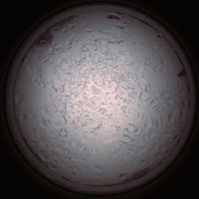 capture_202112060826_1469.Png