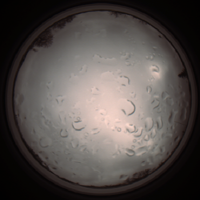 capture_202112061313_1756.Png