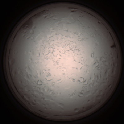 capture_202112061004_1567.Png