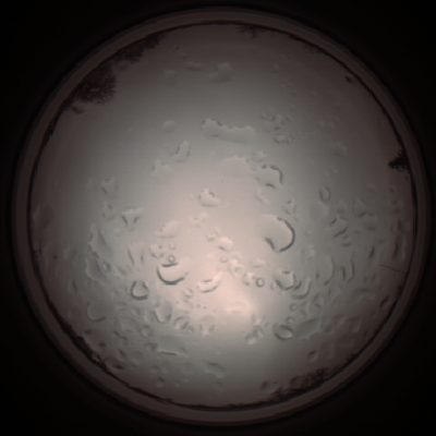 capture_202112061244_1727.Png