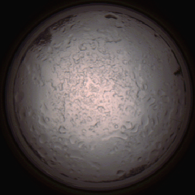 capture_202112060753_1436.Png