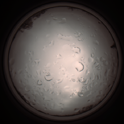 capture_202112061225_1708.Png