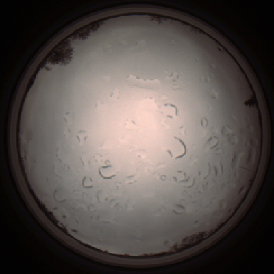 capture_202112061403_1806.Png