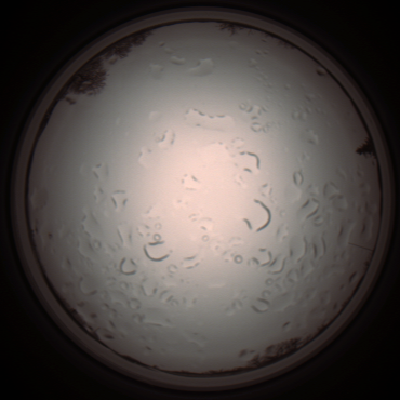 capture_202112061217_1700.Png