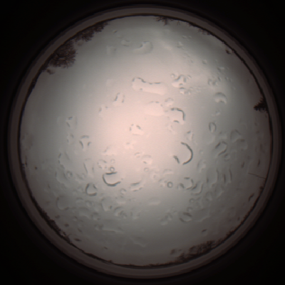 capture_202112061256_1739.Png
