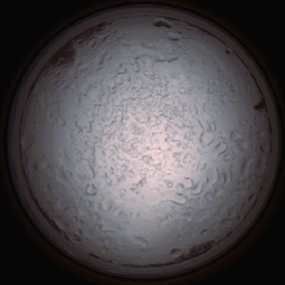 capture_202112060811_1454.Png