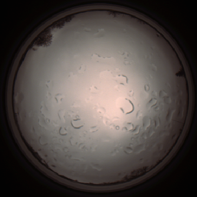 capture_202112061404_1807.Png