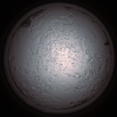 capture_202112060936_1539.Png