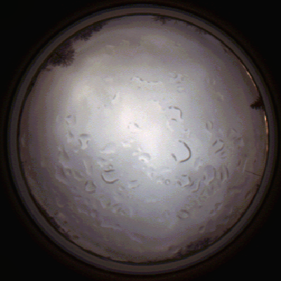 capture_202112061452_1855.Png