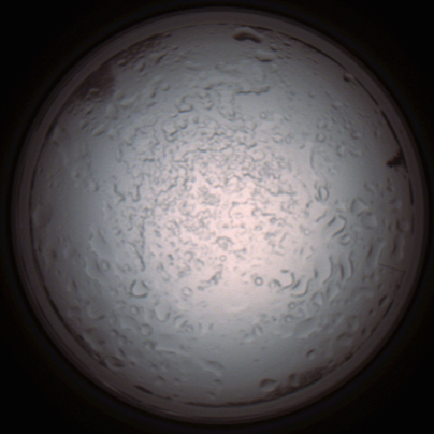 capture_202112060900_1503.Png