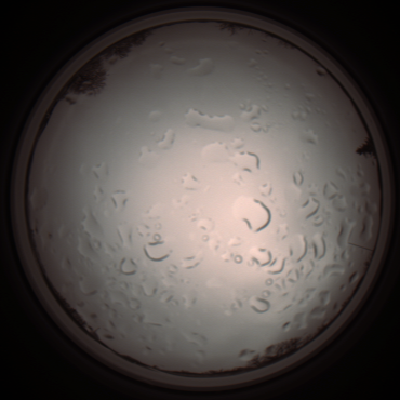 capture_202112061221_1704.Png