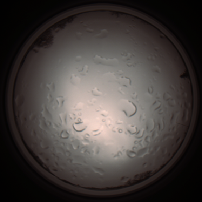 capture_202112061205_1688.Png